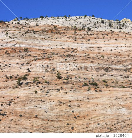 Zion National Park, Utah. 3320464