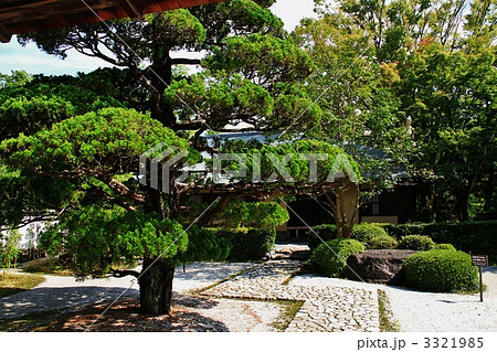 犬山市 有楽苑と国宝茶室如庵 犬山市 有楽苑と国宝茶室如庵 3321985