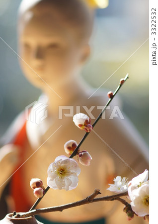 博多人形と梅花 博多人形と梅花 3322532
