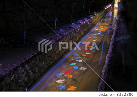 京の七夕　光の友禅流し 3322880