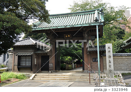 お茶の水　湯島聖堂 3323946