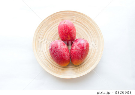 マンゴー マンゴー 3326933