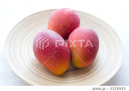 マンゴー 3326935