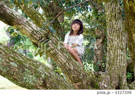 木登りガール 3327206