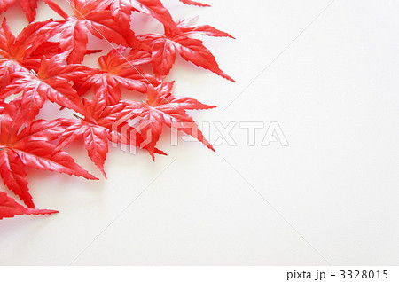 紅葉 紅葉 3328015