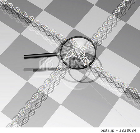DNAの拡大鏡イメージ DNAの拡大鏡イメージ 3328034