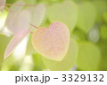 ハートの形をしたピンクの葉 3329132