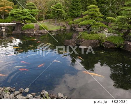 好古園　松の庭 3329584