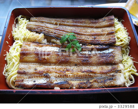 穴子弁当 穴子弁当 3329588