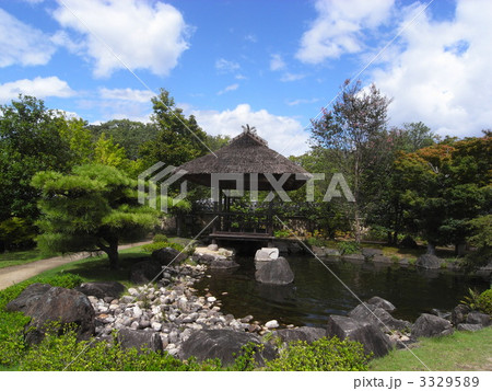 築山池泉の庭 3329589