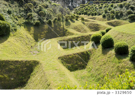 山中城障子堀 3329650