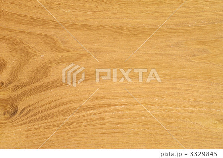 桑の板目 3329845