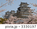 姫路城と桜 3330197
