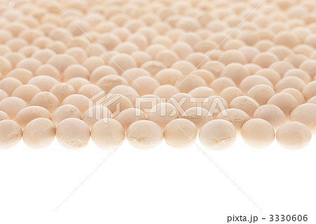 大豆 3330606