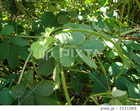 ケツメイシ 3331969