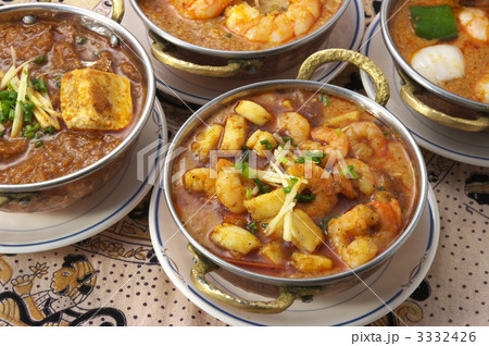 インド料理 3332426