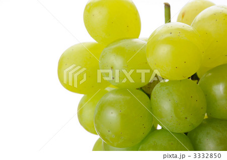 ロザリオ 3332850