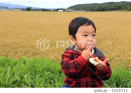 美味しい！ 3333531