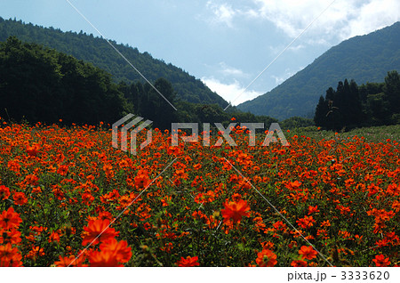 秋舞台 秋舞台 3333620