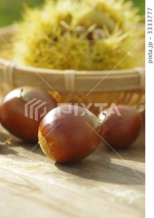 クリの収穫 3333777