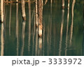 秋の青池 3333972