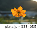 3334035