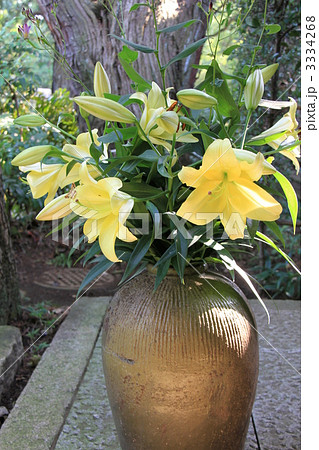 戸定邸 戸定邸 3334268