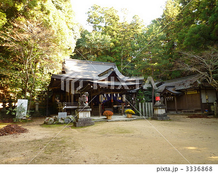 等彌神社 3336868