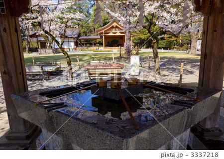 武田神社 武田神社 3337218