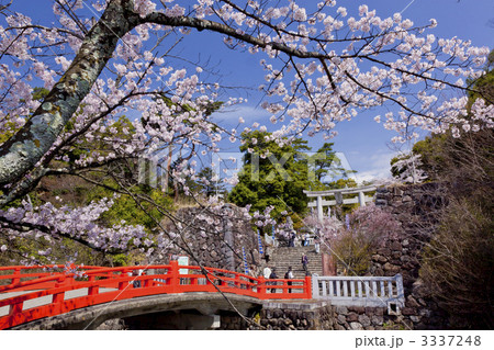 武田神社 武田神社 3337248