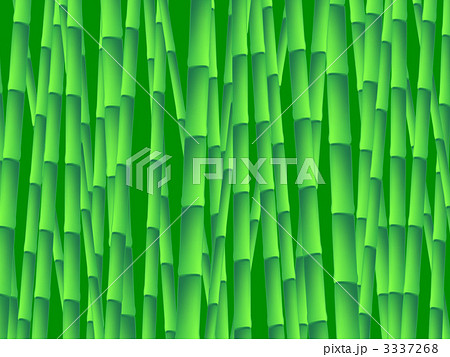 竹林 3337268