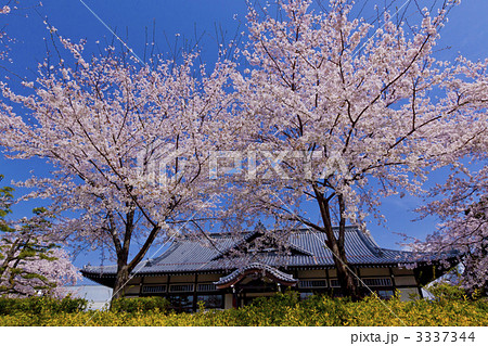 舞鶴城公園 舞鶴城公園 3337344
