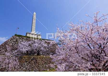 舞鶴城公園 3337345