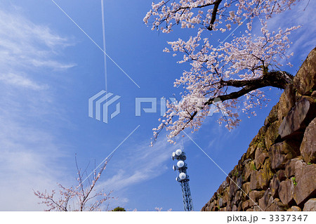 舞鶴城公園 3337347