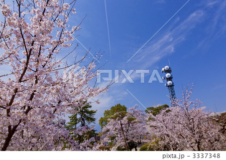 舞鶴城公園 舞鶴城公園 3337348