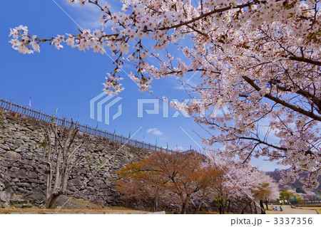 舞鶴城公園 舞鶴城公園 3337356