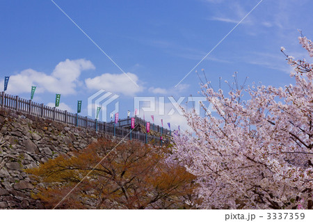 舞鶴城公園 舞鶴城公園 3337359