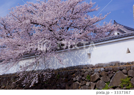 舞鶴城公園 舞鶴城公園 3337367