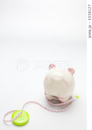 ぽっちゃり美人～　ブイ♪ 3338127