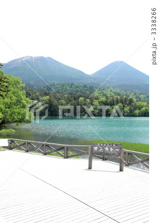 オンネトーの湖畔 3338266