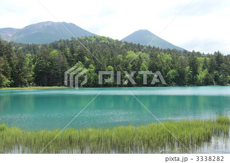 オンネトーの湖畔 3338282