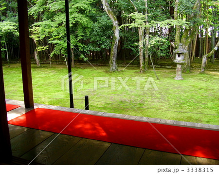 大徳寺・高桐院の庭園 3338315