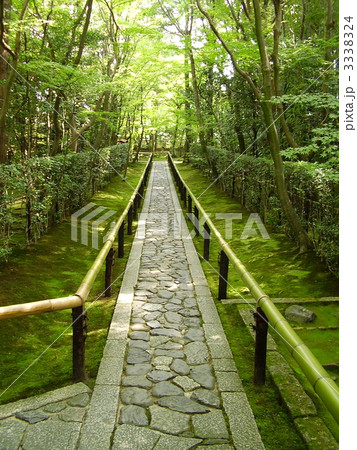 大徳寺高桐院の参道 3338324