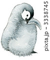 皇帝ペンギンの赤ちゃん 3338745