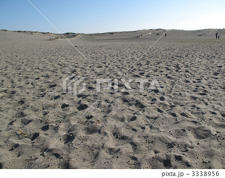 中田島砂丘 3338956