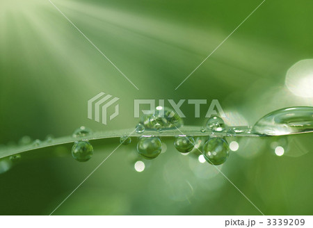 水滴 3339209