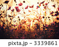 3339861