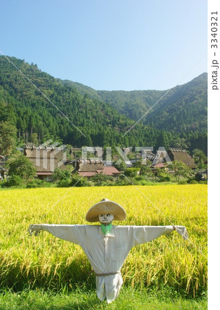 山里の案山子 3340321