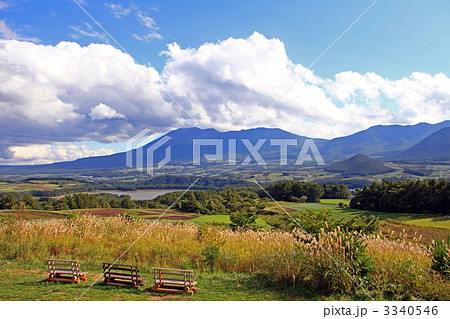 愛妻の丘 3340546