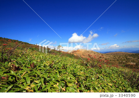白根山 3340590